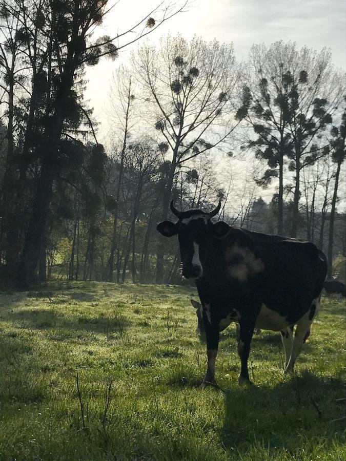 Gezellige Villa Met Open Haard En Zonnige Tuin. Doische Exterior foto